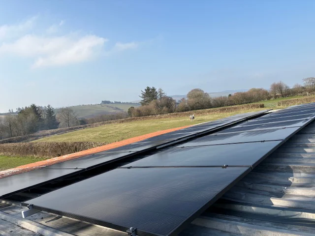 panels