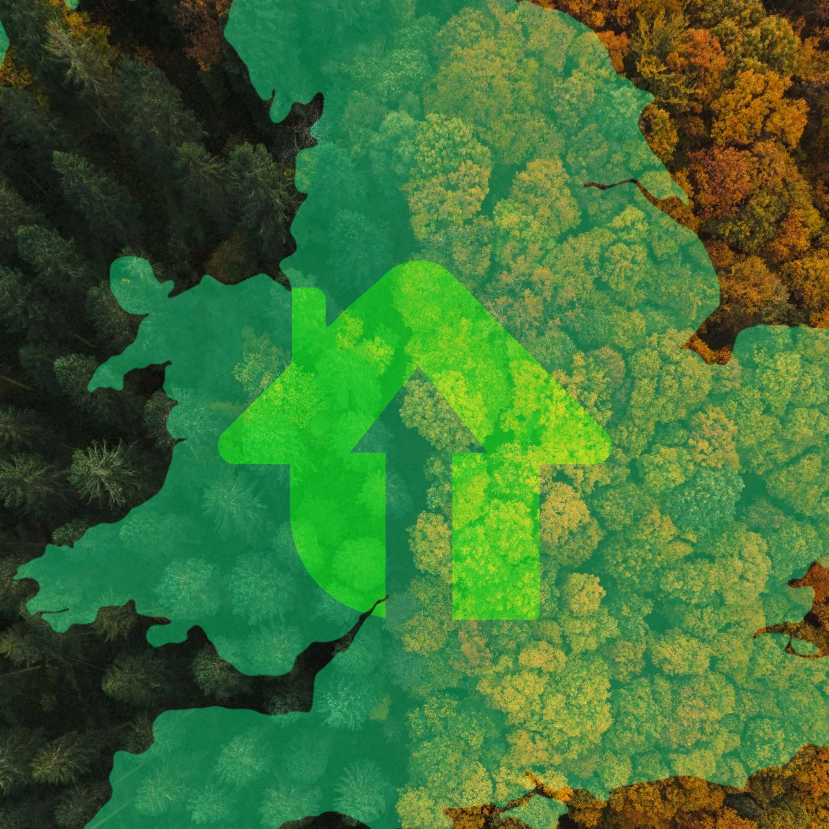 power of green map